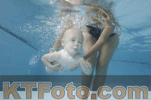Photo 4262056