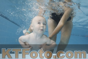 Photo 4262057