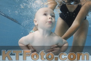 Photo 4262058