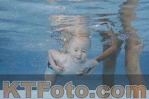 Photo 4262088