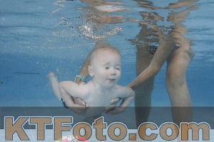 Photo 4262089