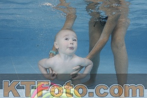 Photo 4262091