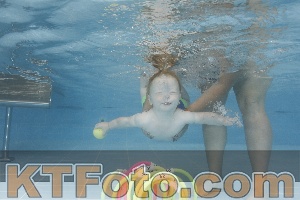 Photo 4262092