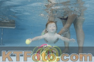 Photo 4262093