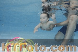 Photo 4262095