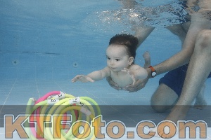 Photo 4262096