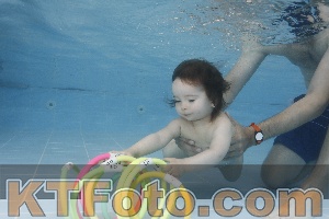 Photo 4262098