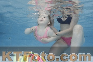 Photo 4262099