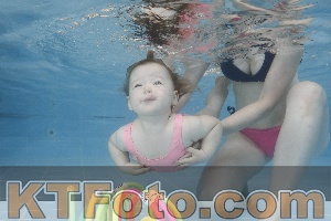 Photo 4262100