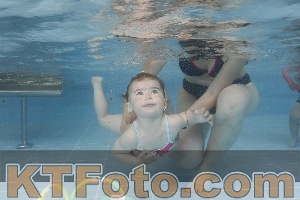 Photo 4262110