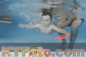 Photo 4262111
