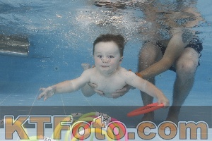 Photo 4262112