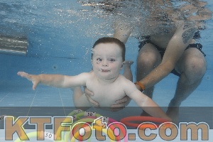 Photo 4262113