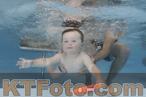 Photo 4262128