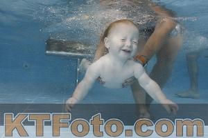 Photo 4262131