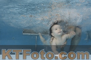 Photo 4262132