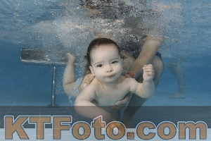 Photo 4262133