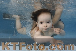 Photo 4262134