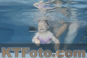 Photo 4262142