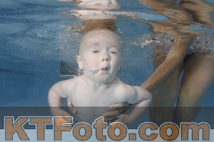 Photo 4262146
