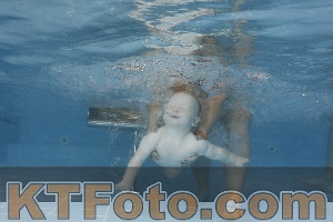 Photo 4262150