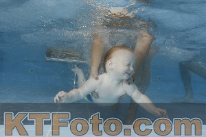 Photo 4262151