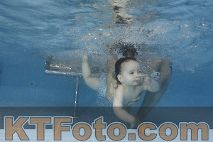 Photo 4262152
