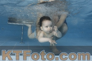 Photo 4262153
