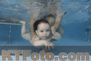 Photo 4262154