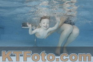 Photo 4262155