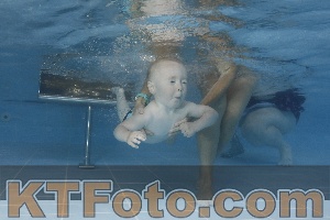 Photo 4262162
