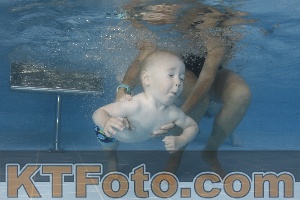 Photo 4262163