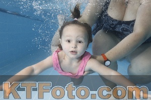 Photo 4262257