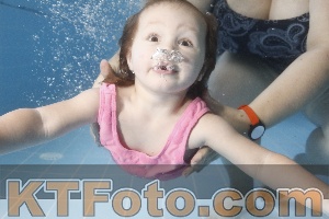 Photo 4262258