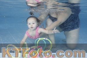Photo 4262271