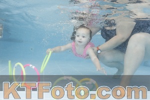 Photo 4262290