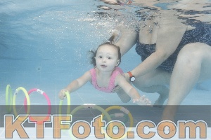Photo 4262291