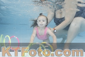 Photo 4262292