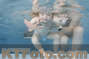 Photo 4262309
