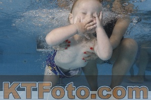 Photo 4262313