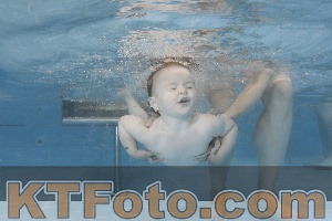 Photo 4262314