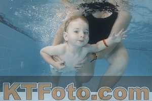 Photo 4262388