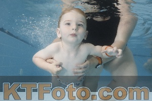 Photo 4262389