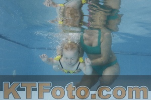 Photo 4262390