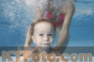 Photo 4262395