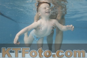 Photo 4262399
