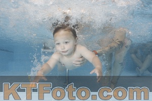 Photo 4262407