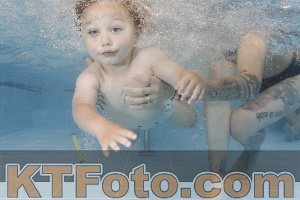 Photo 4262408
