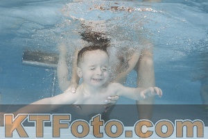 Photo 4262409