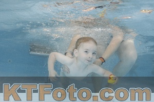 Photo 4262413